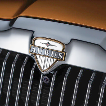 Эмблема AURUS